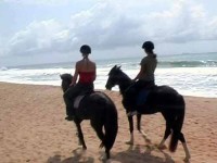 balade à cheval à Saly (Sénégal)